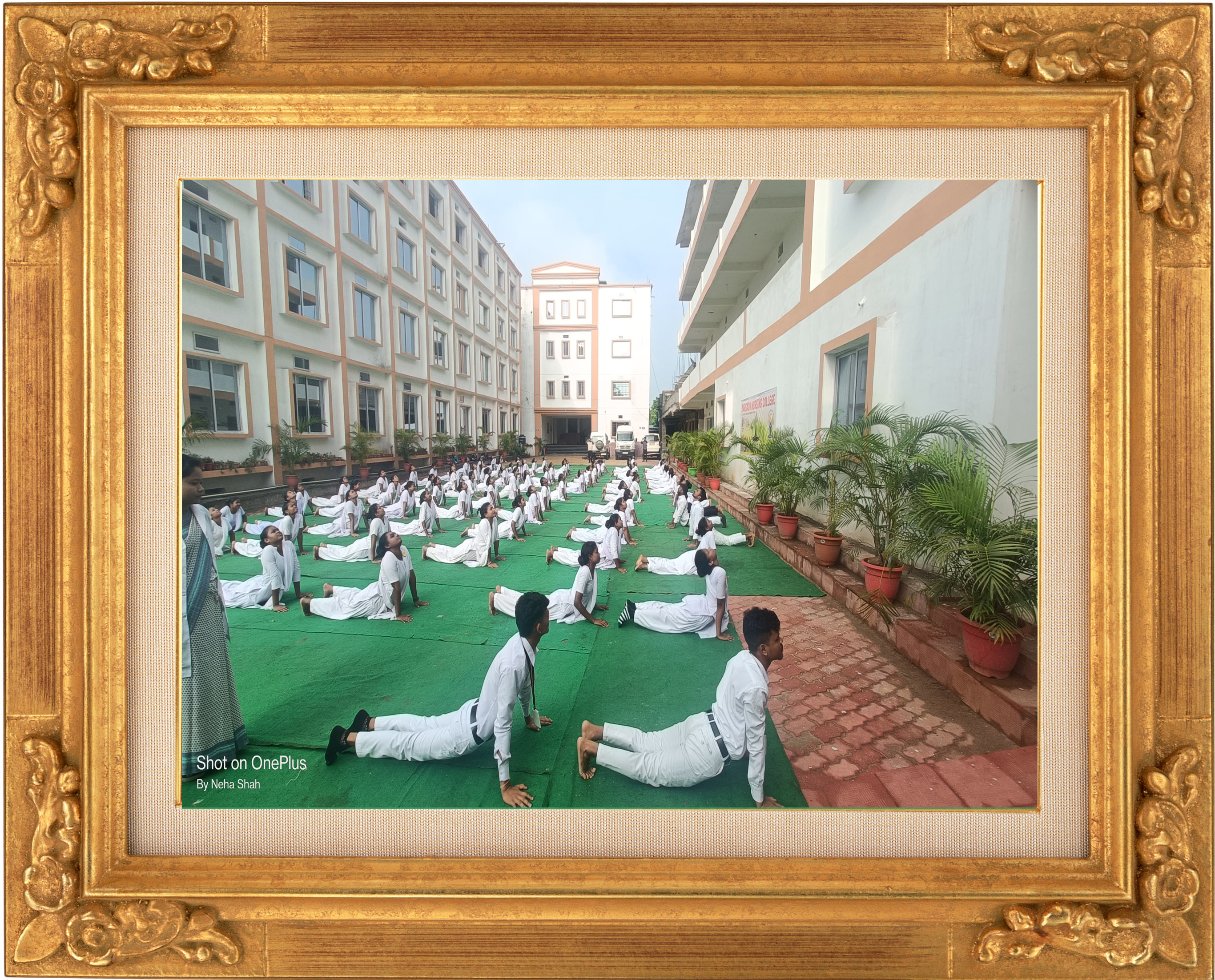 International Yoga Day